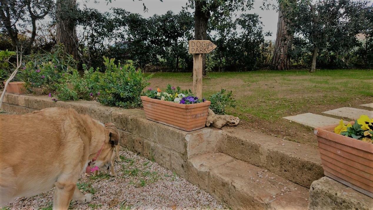 La Stanza Del Podere Isabella Hotel San Vincenzo Esterno foto